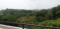 Clementi Park (D21), Condominium #570575101